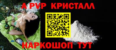 стаф Новокубанск