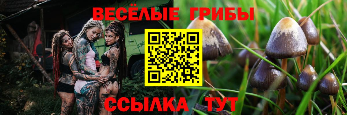 Галлюциногенные грибы мицелий  Вход с VPN  Галлюциногенные грибы мухоморы  Альметьевск 